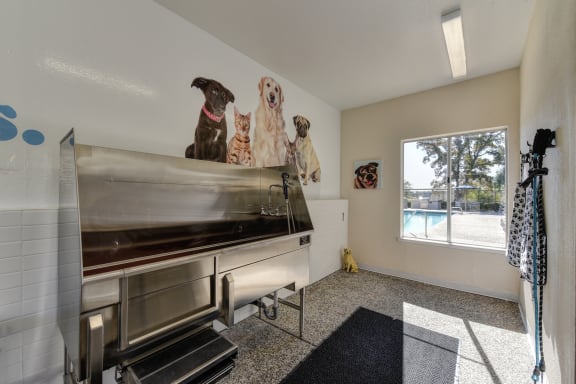 Community Pet Spa which includes stainless steel dog washing tub with walk up ramp. There are floor mats on the ground to prevent slipping and a large window with views of a pool at Folsom Ranch, Cali