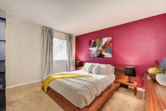 Bedroom with burgandy accent wall behind the headboard. Nightstand and dresser and window with curtains at Addison Ranch Apartments, Petaluma, California