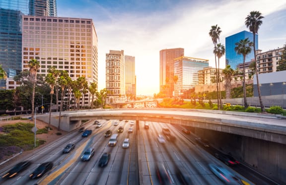 Freeway overpass in downtown Los Angeles with palm trees at Silverstone Apartments, California, 95618