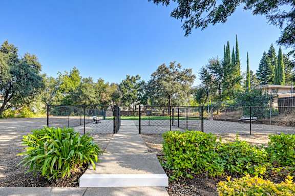 A park with a fence and trees.