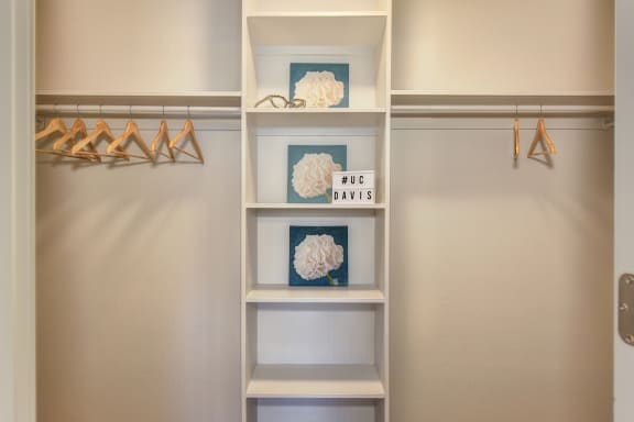 Large extended closet with built-in shelves and lots of hanging space. at Pinecrest Apartments, Davis