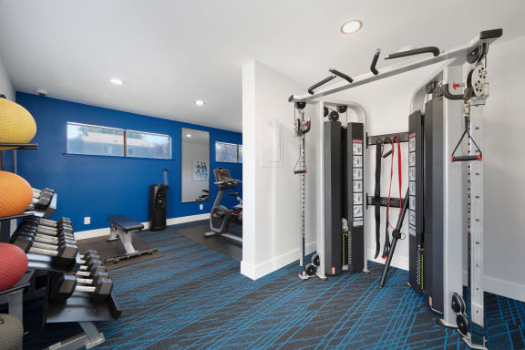 a gym with weights machines and other exercise equipment in a room at Silverstone Apartments, California