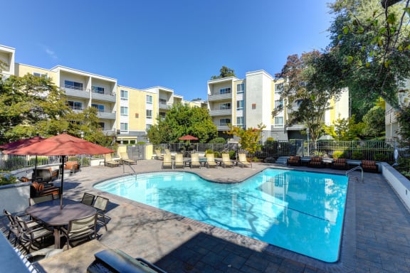 Swimming Pool and Lounge Area at The Retreat at Walnut Creek, Walnut Creek, CA