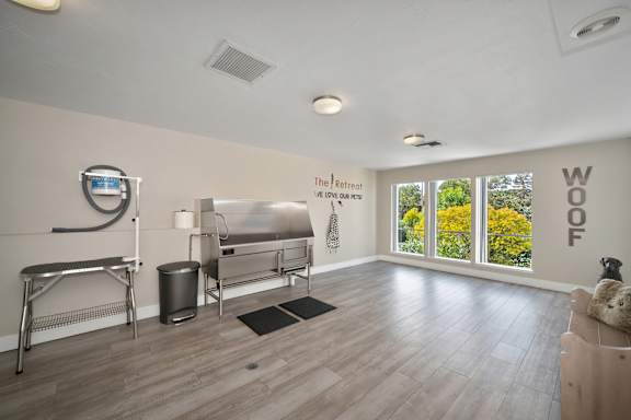 A room with a sign that says "The Beloved" and a window that says "WOOF" on the wall.