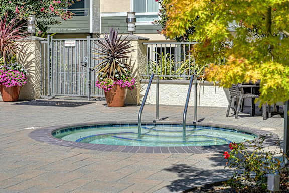 A small pool surrounded by potted plants and trees.