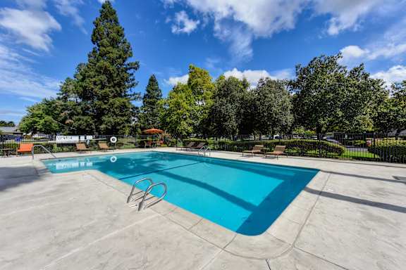 A swimming pool surrounded by trees and a fence.