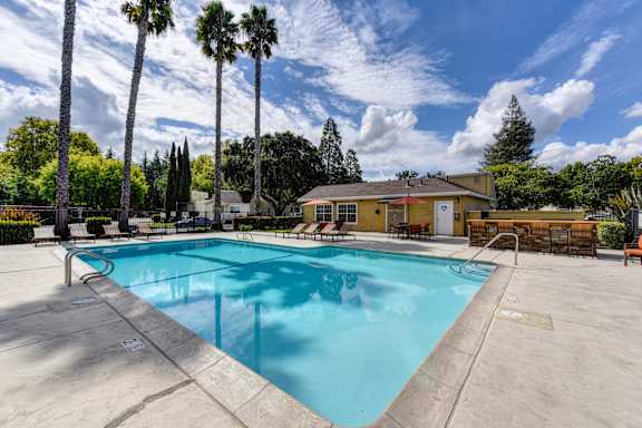 A swimming pool surrounded by palm trees and a building in the background.
