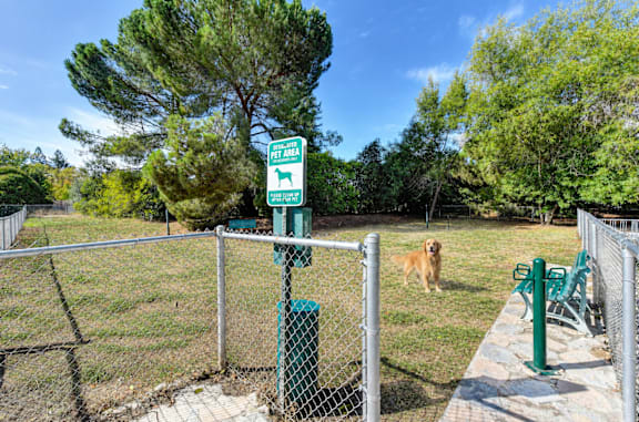A dog is standing in a fenced area with a sign that says "Pet Area".
