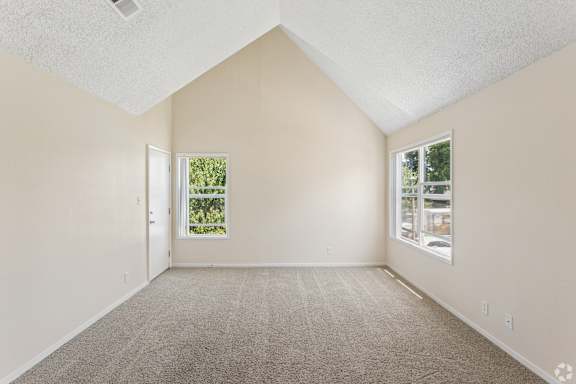 Empty room with carpeted floor and two windows.