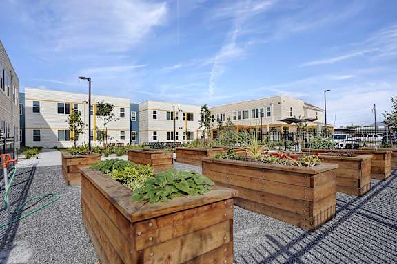 A series of raised garden beds are in front of a building.