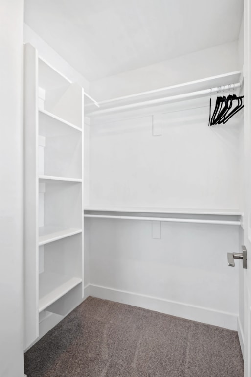 A white closet with shelves and a carpeted floor.