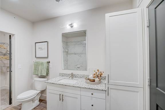 a bathroom with a sink and a toilet and a shower