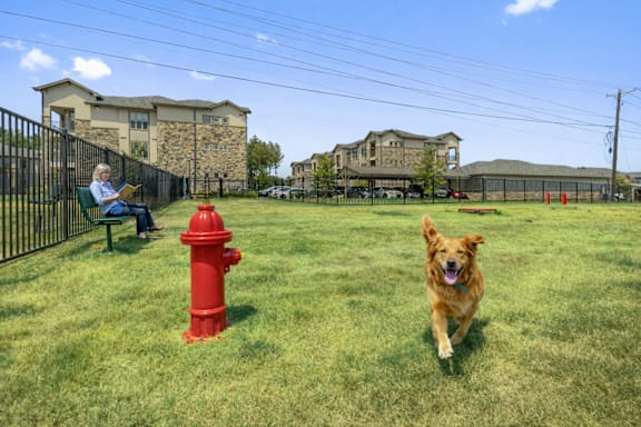 A dog running towards a red fire hydrant in a grassy field.