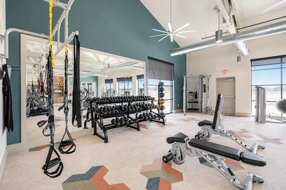 A gym with a variety of equipment including weights and a bench press.