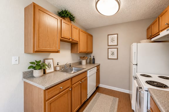 Greentree Village Apartment Kitchen in Denver, CO