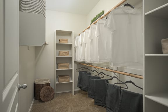 Spacious walk-in closets  at Trevi Apartment Homes, Arizona, 85224