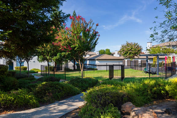 Outdoor Playground at Ascent at the Galleria in Roseville, California
