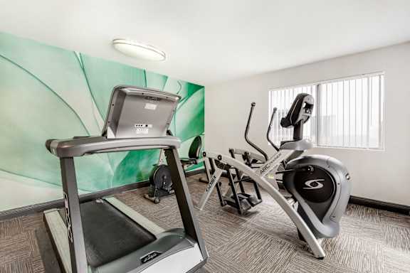 our gym has a lot of exercise equipment for residents to use