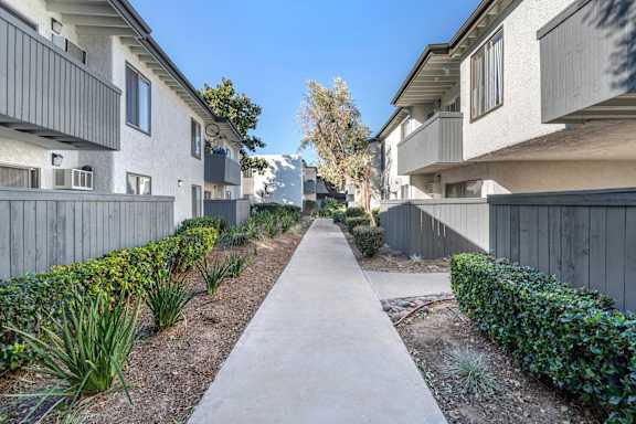 A concrete pathway leads through a row of modern houses.