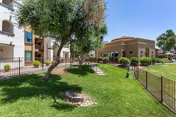the preserve at ballantyne commons community yard and apartments at Trevi Apartment Homes, Chandler, Arizona