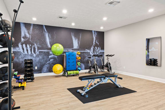 Free Weights and Echelon Mirror