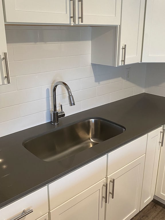 Kitchen with Single Vessel Sink and Goose Neck Faucet