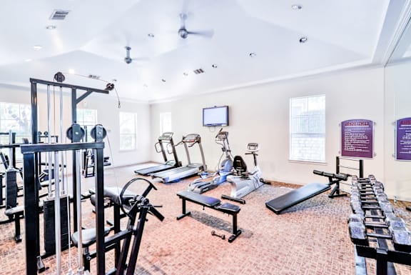 A gym with a variety of equipment including weights and a bench press.