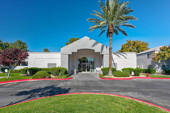 A white building with a palm tree in front.