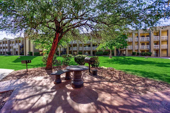 A large tree in a courtyard with a bench and a table.