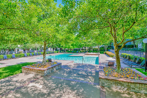 A pool surrounded by trees and a concrete patio.