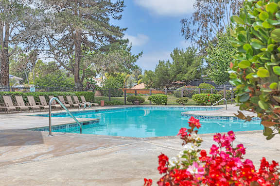 A pool surrounded by trees and chairs.