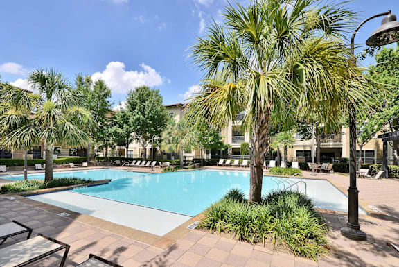 A pool surrounded by palm trees and bushes.
