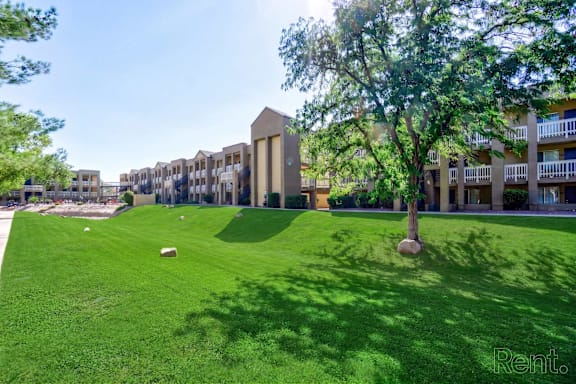A grassy area in front of a building with a tree in the foreground.