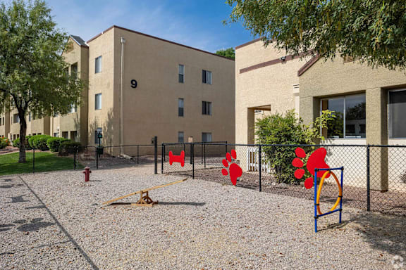 A dog park with agility equipment.