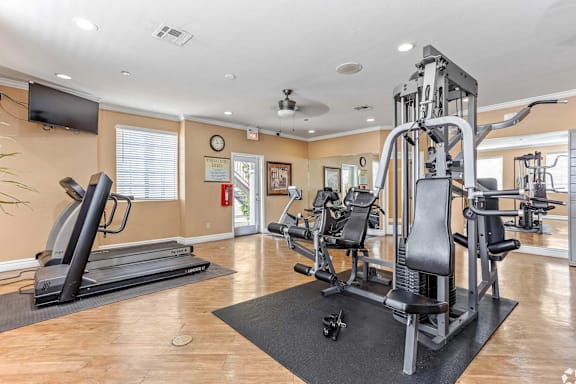 A gym with treadmills, weights, and exercise equipment.