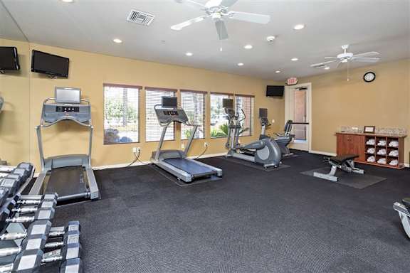 A gym with treadmills, elliptical machines, and dumbbells at Superstition Canyon Apartments, Apartments, Mesa, AZ