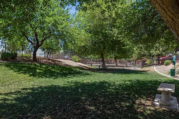 A park with a bench and trees. at Superstition Canyon Apartments, Mesa, AZ, 85209