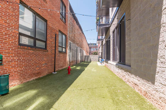 Paw Park at Link Apartments® West End, Greenville, South Carolina