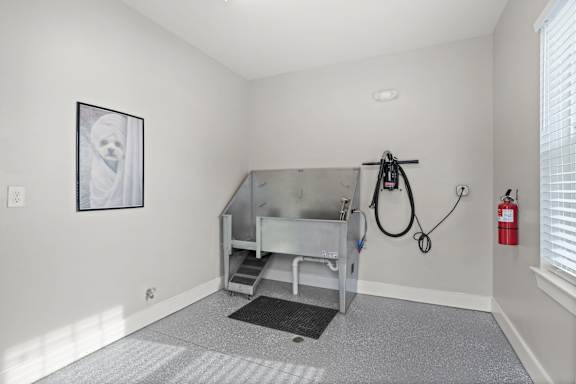 A room with a grey carpet and a fire extinguisher on the wall.