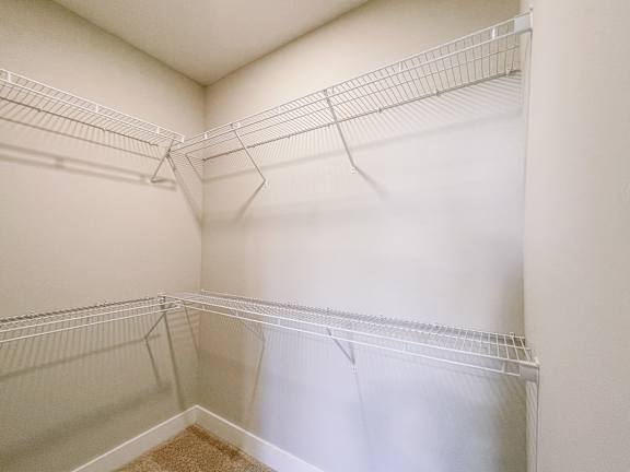 Spacious walk-in closet at Falls at Meehan Apartments