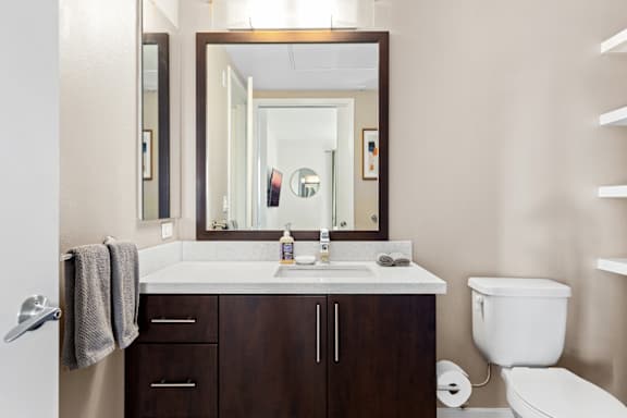 Bathroom with a white toilet and a large mirror above a sink.
