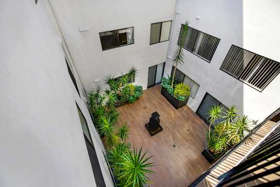 Courtyard view with plants. at The Hilgard, Los Angeles, CA