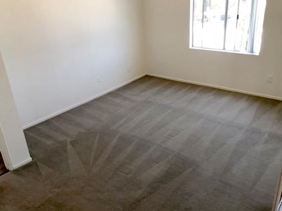 A room with a carpeted floor and a window letting in natural light.