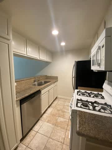 A kitchen with a stove top oven and a dishwasher.