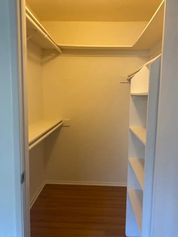 A white pantry with shelves and a door.