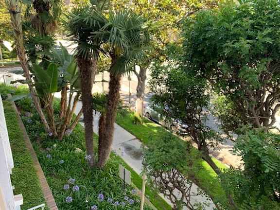 A lush green garden with a pathway and a white fence.