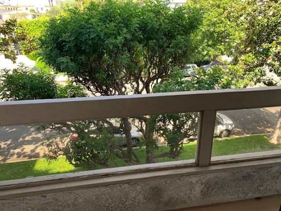 A tree is seen through a window.