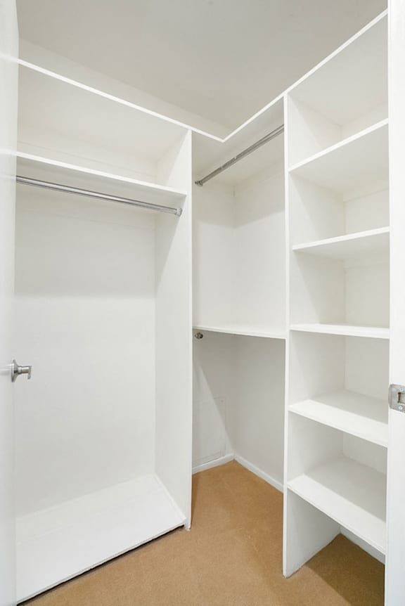 A white closet with shelves and a door.