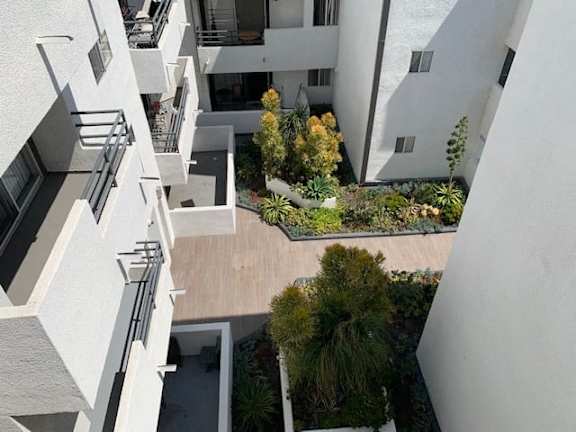 A view of a courtyard from a high angle with trees and plants.