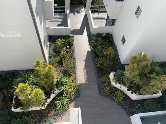 A small garden with a wooden walkway between two white buildings.